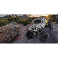 RGT 18100 1/10 2.4G 4WD Rock Crawler Trample RTR (Grey Cover)