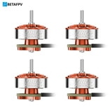 0802 Brushless Motors (2026) Champion
